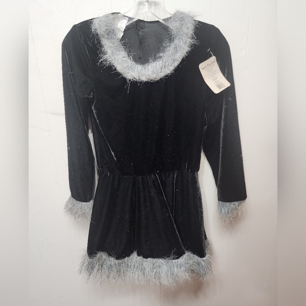 Raccoon Costume Large 12  14 Halloween Black Gray Youth Dress Only Fun World C11